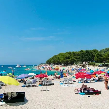 Jere Proto * Примоштен